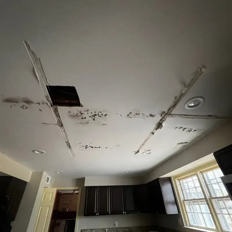 Gallery image 7 — water damage restoration North Dallas