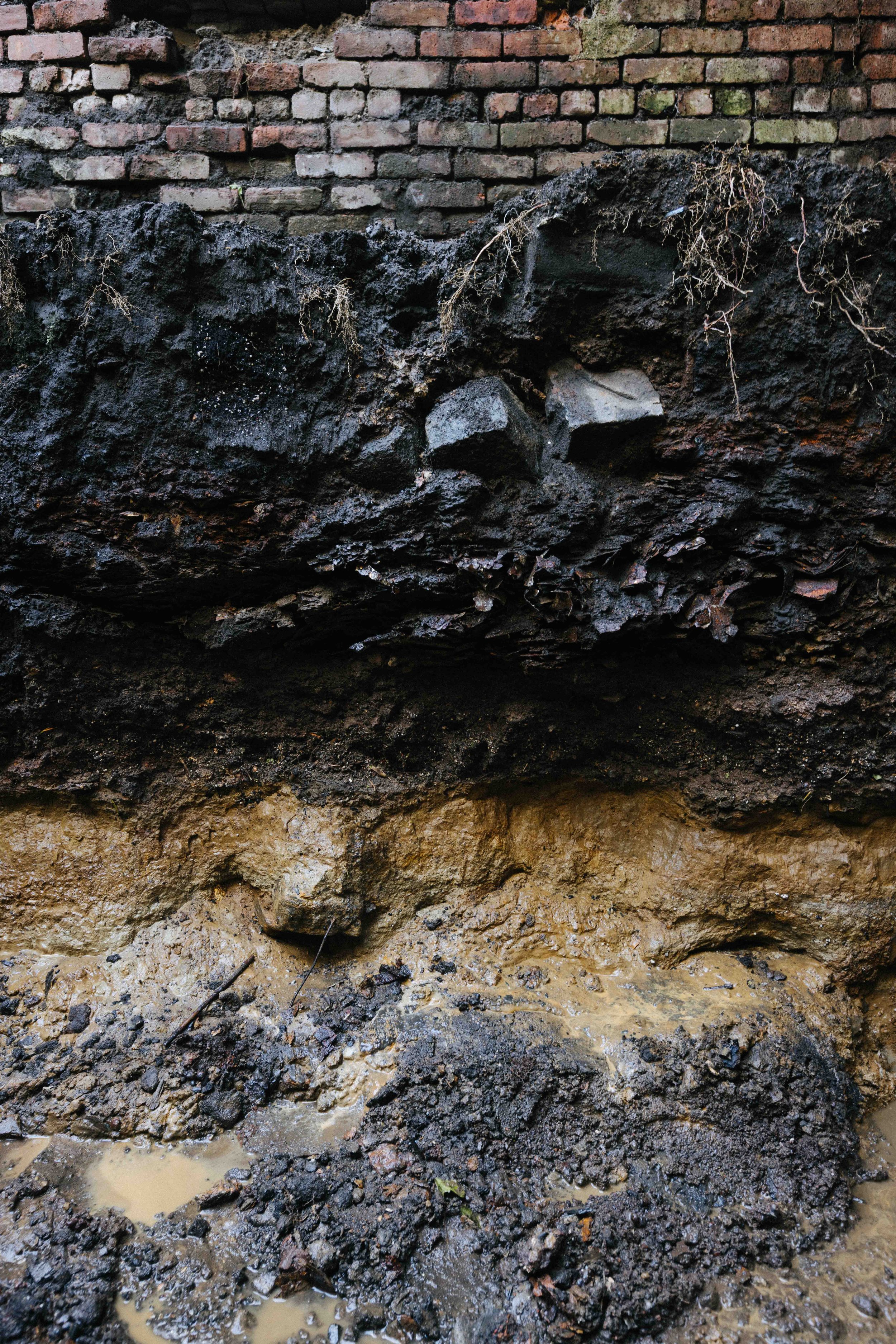 About living systems co-creation New York City