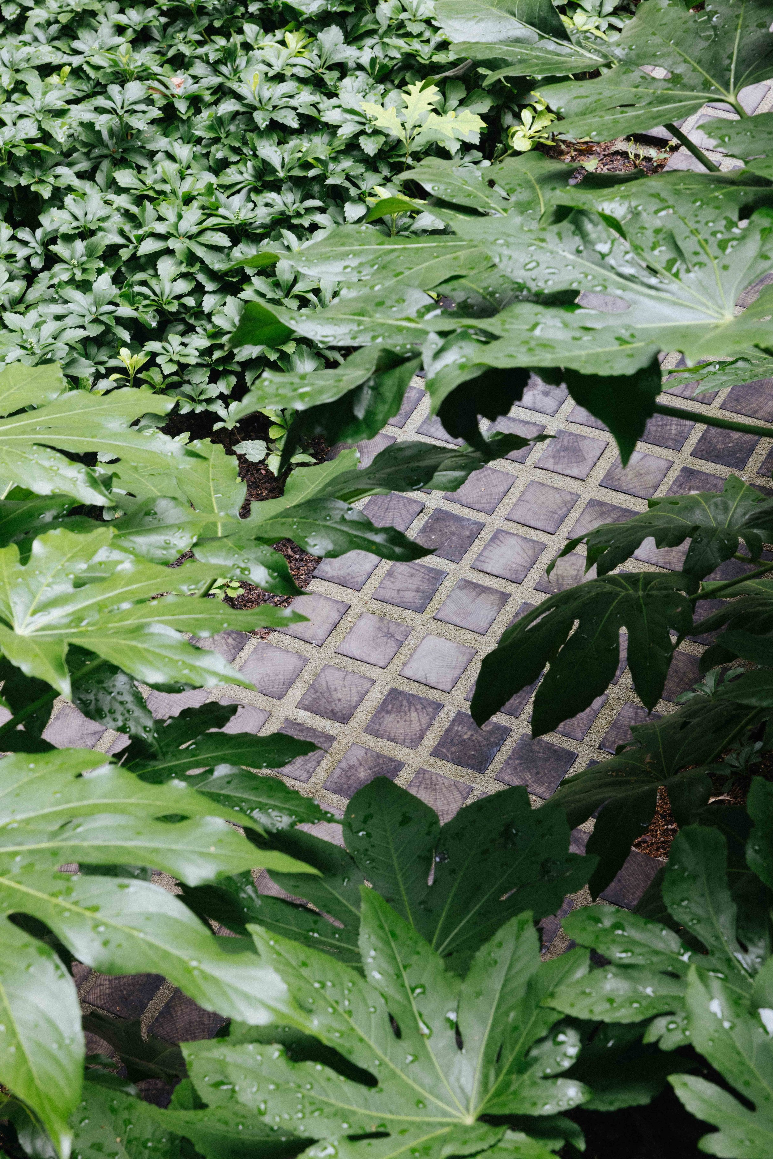 Gallery image 3 — living systems co-creation New York City