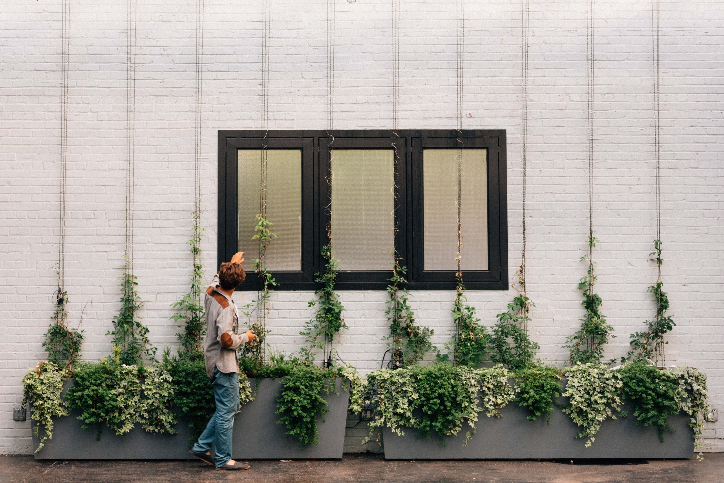 Gallery image 6 — living systems co-creation New York City