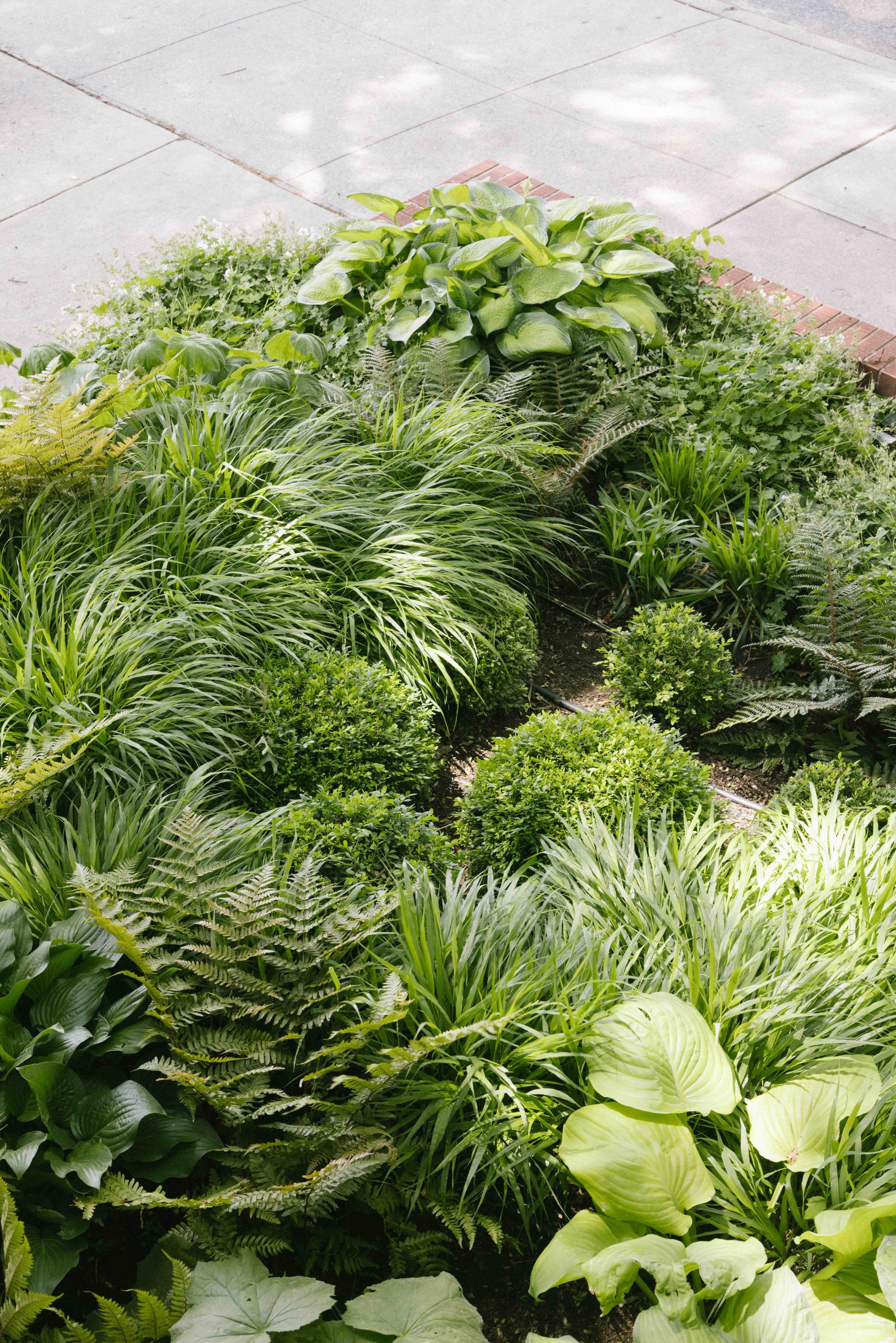 Gallery image 4 — living systems co-creation New York City