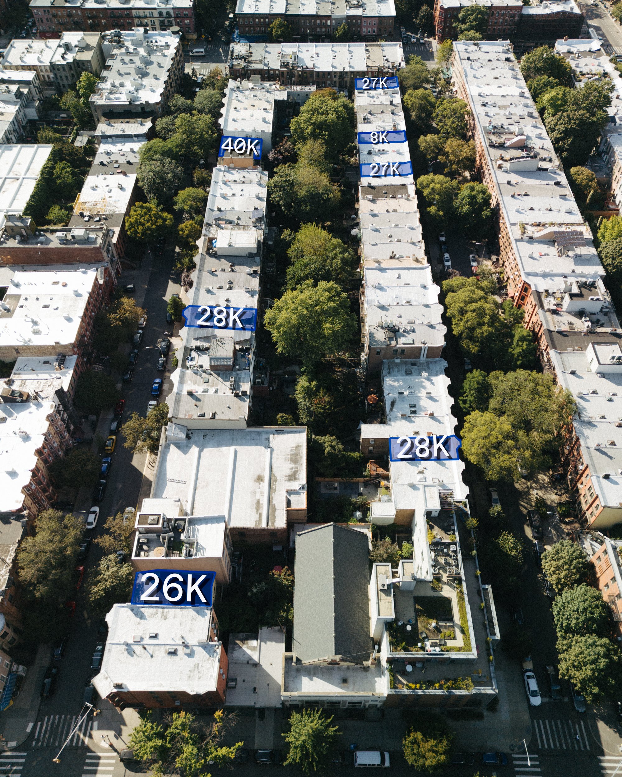 living systems co-creation New York City