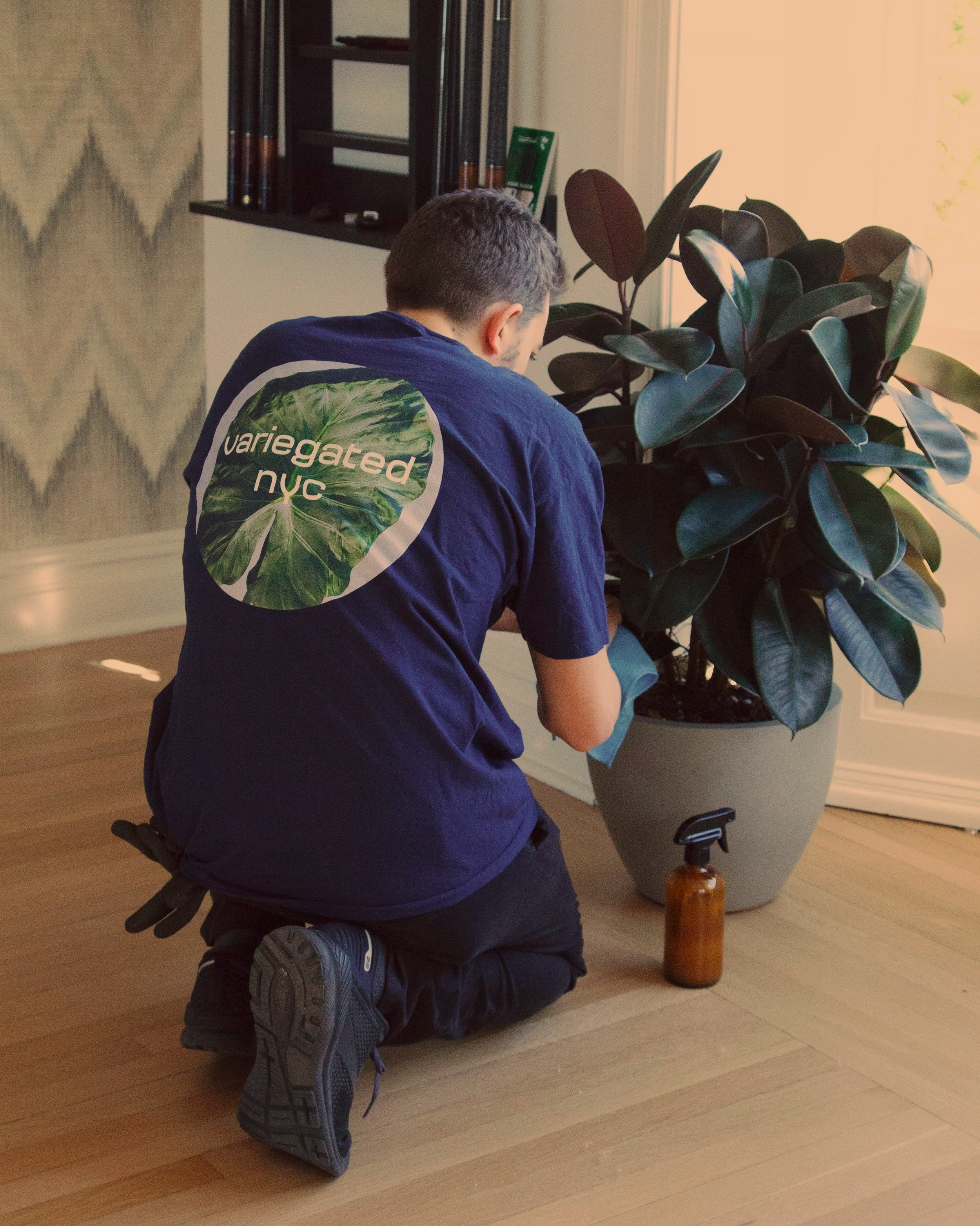 Gallery image 1 — commercial plant rentals NYC