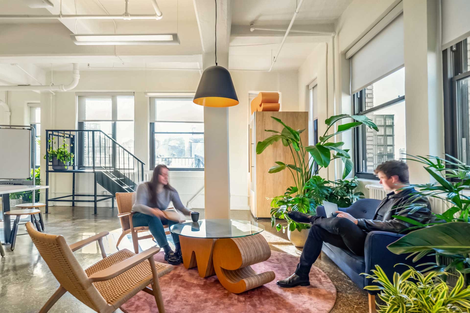 Gallery image 1 — office plant care near me