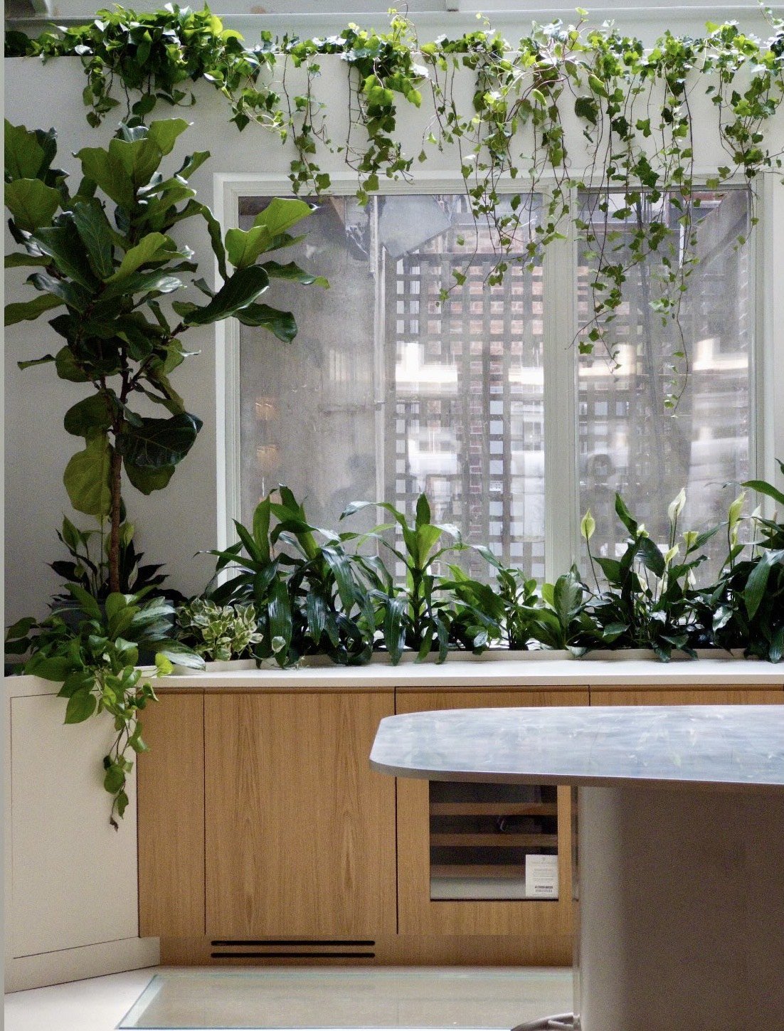 Gallery image 3 — office plant care near me