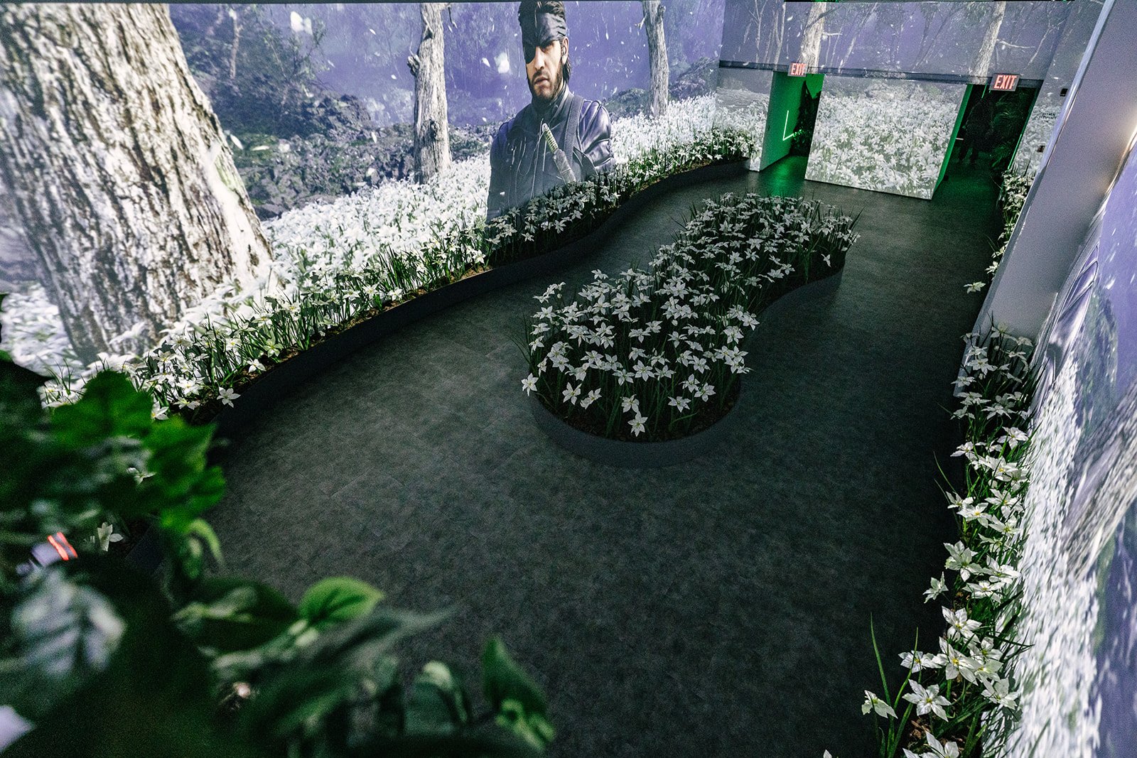 office plant care near me