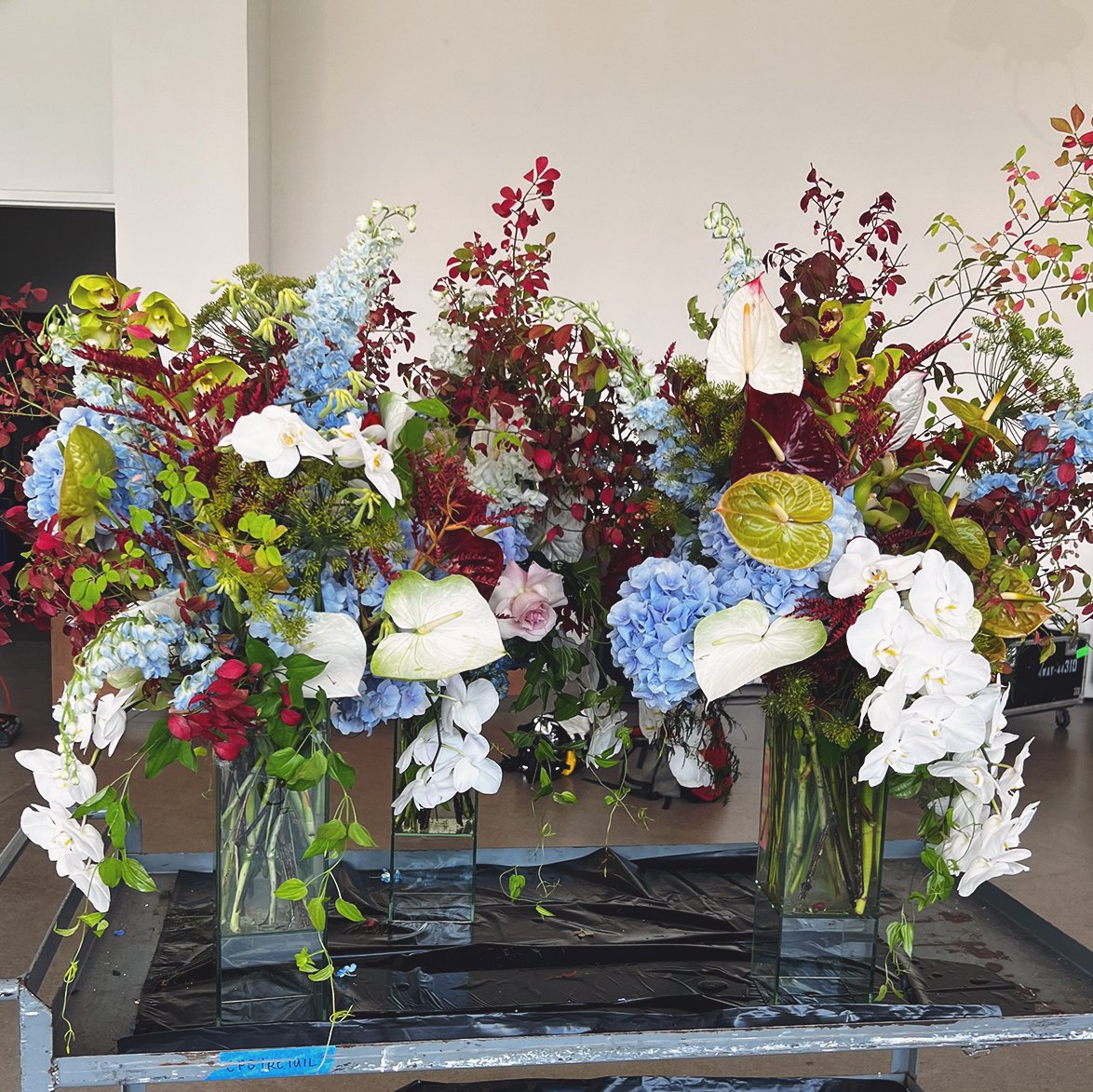 Gallery image 2 — office plant care near me