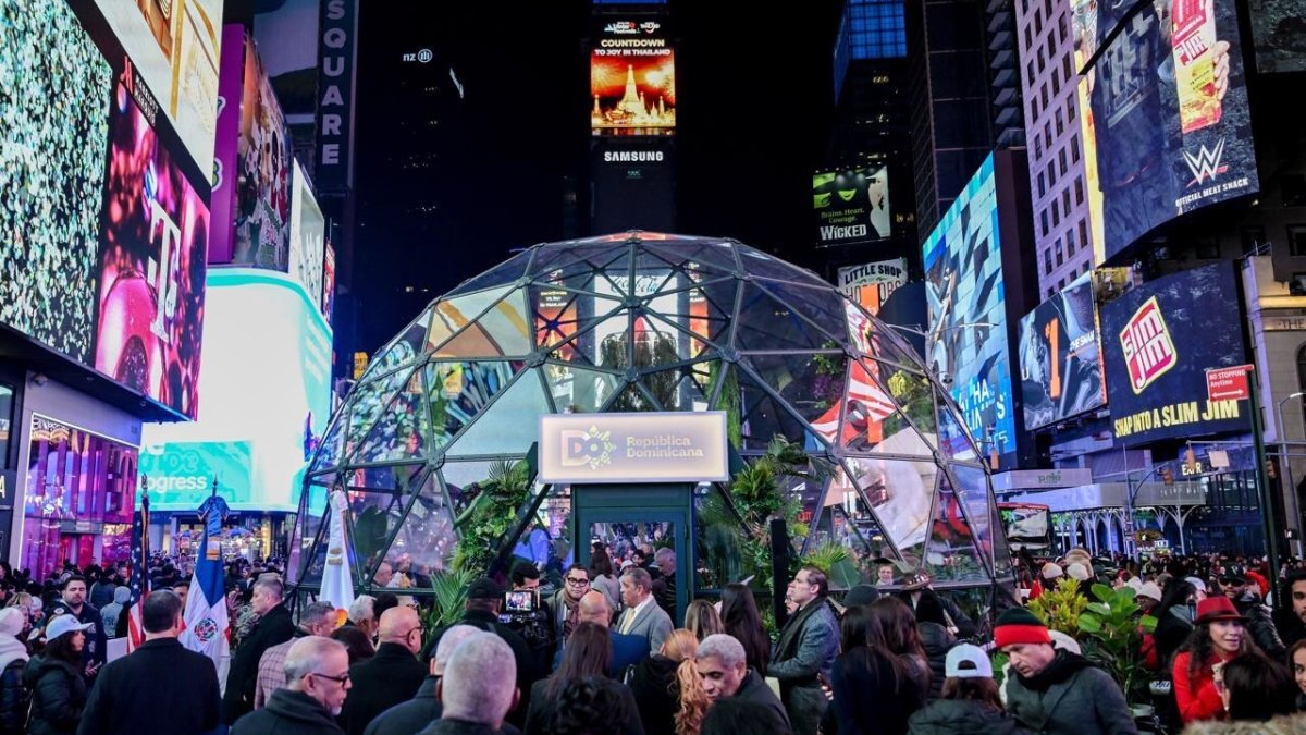 Gallery image 9 — office plant care near me