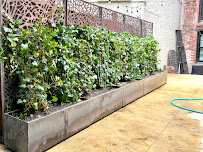 Gallery image 7 — Brooklyn garden designer