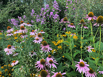 sustainable landscaping Brooklyn