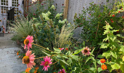 Gallery image 8 — Brooklyn garden designer