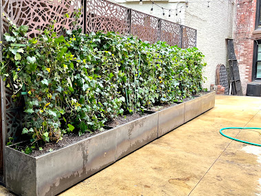 Gallery image 2 — Brooklyn garden designer