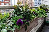 Gallery image 6 — rooftop garden installation Manhattan
