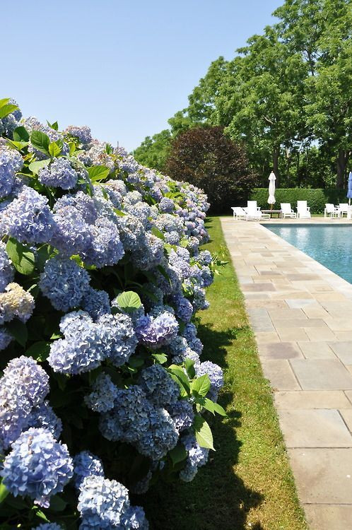 Gallery image 2 — custom outdoor space design Long Island