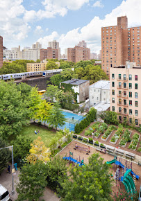 landscape architect near me