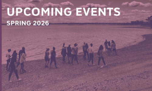 Gallery image 5 — award-winning landscape architects near me