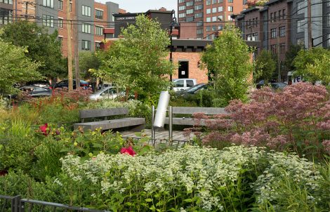 About waterfront design planners Central Park