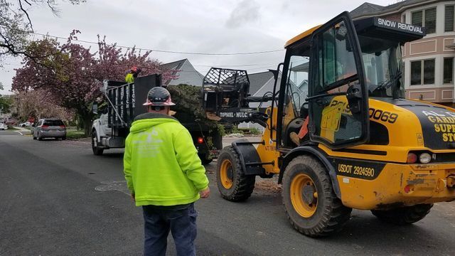 24/7 emergency tree service near me