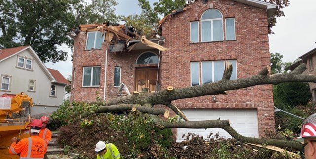 Gallery image 3 — 24/7 emergency tree service near me
