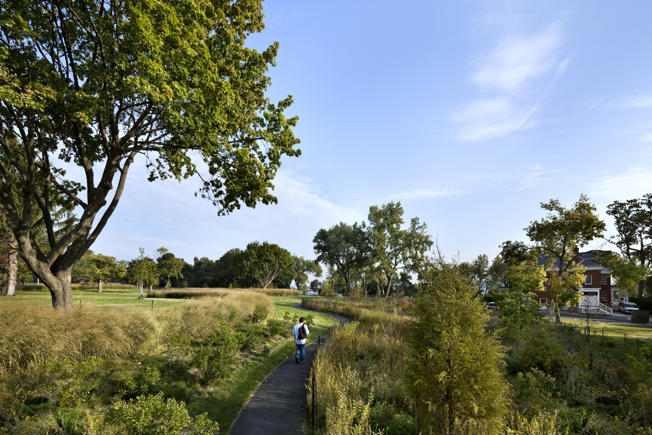 urban design firm NYC