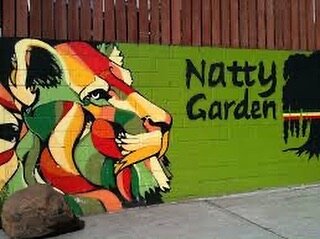 Gallery image 3 — indoor plants Brooklyn