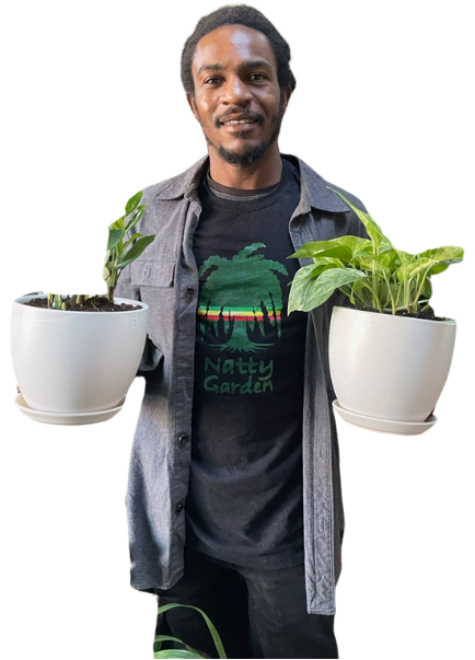 About indoor plants Brooklyn