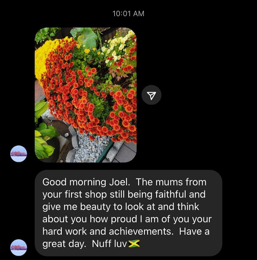 Gallery image 5 — indoor plants Brooklyn