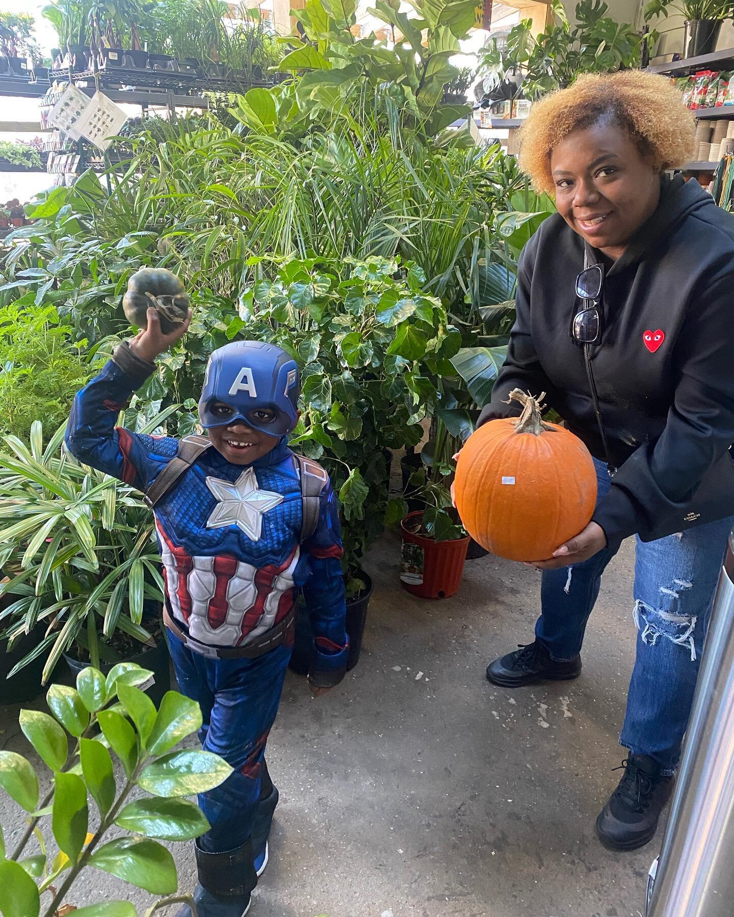 indoor plants Brooklyn