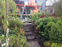 Gallery image 2 — indoor plants Brooklyn