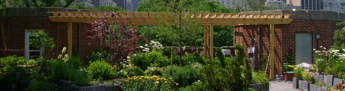 public space landscape architecture East Coast