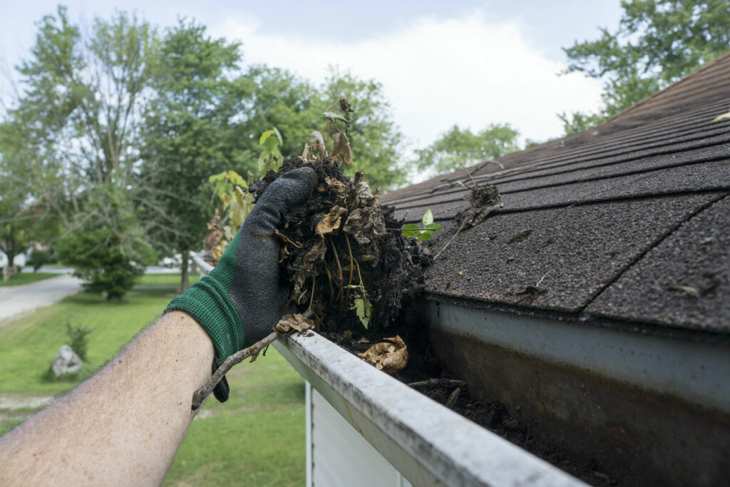 Gallery image 5 — gutter cleaning near me