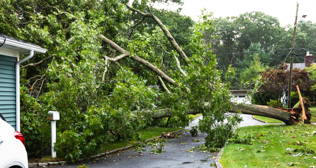 Gallery image 1 — best water damage company in Atlanta