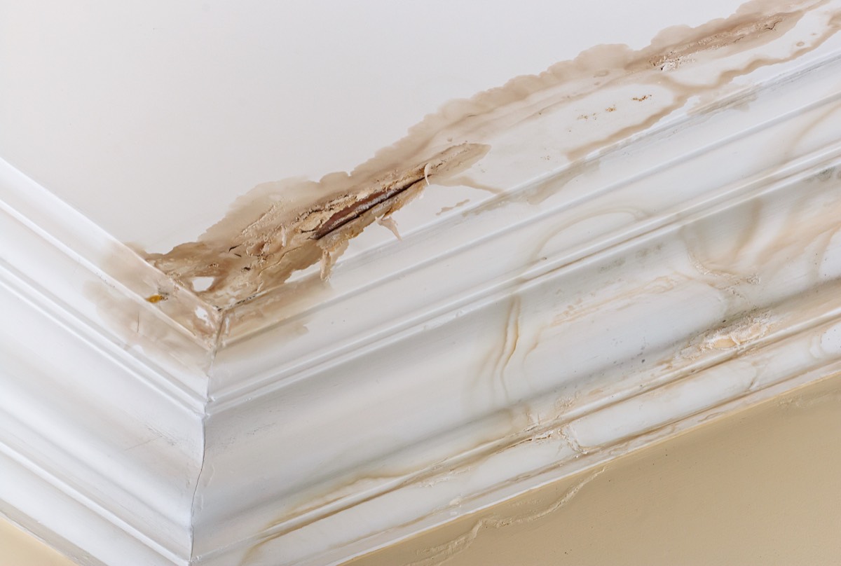 Gallery image 10 — best water damage company in Atlanta
