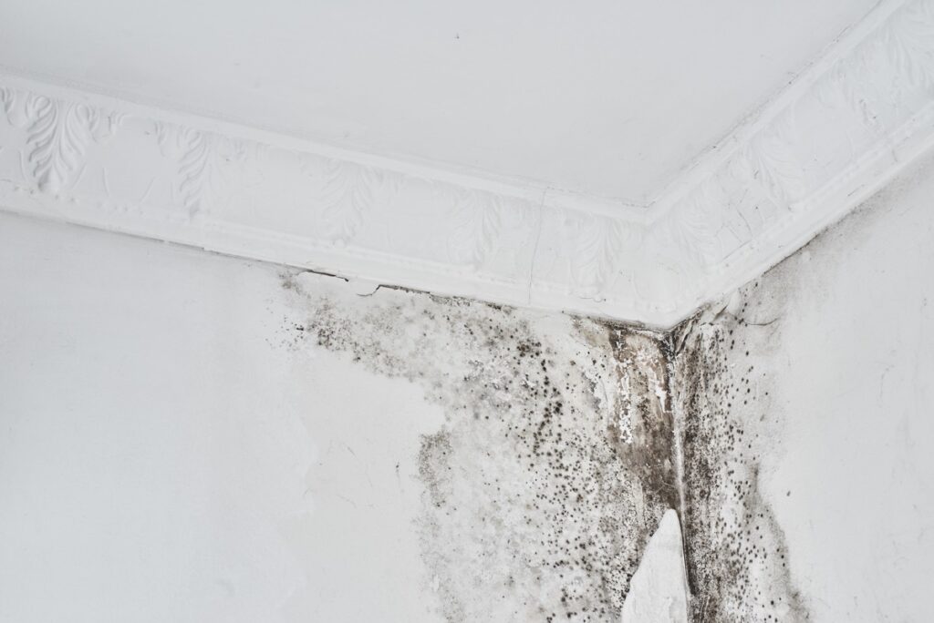 Gallery image 12 — best water damage company in Atlanta