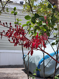 Gallery image 1 — 24 hour AC repair near me