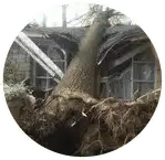 Gallery image 4 — storm damage restoration Acworth