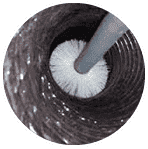 Gallery image 8 — commercial mold remediation Metro Atlanta