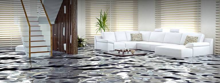 commercial mold remediation Metro Atlanta