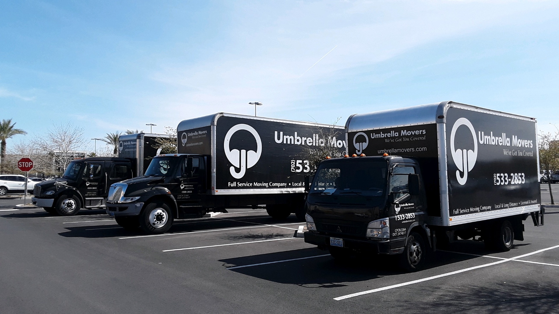 Gallery image 3 — licensed and insured movers near me