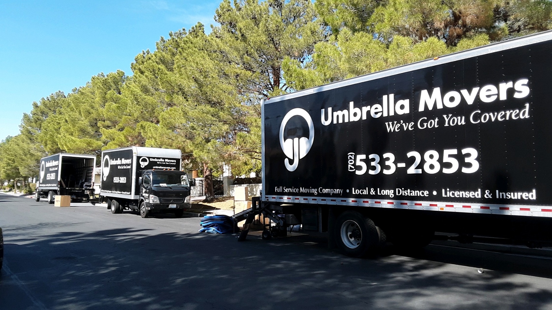 licensed and insured movers near me
