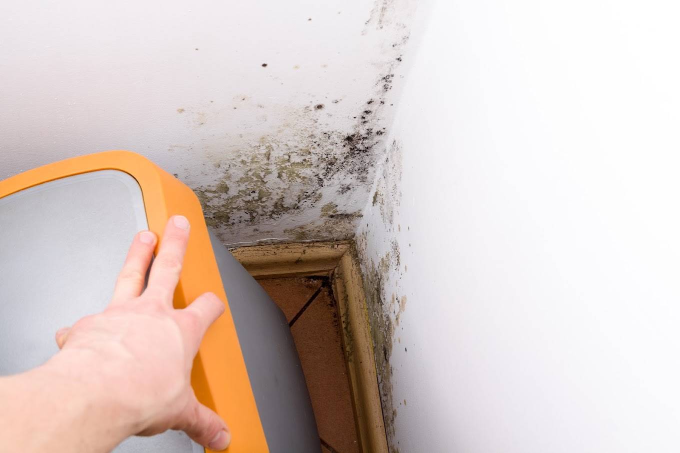 Gallery image 7 — emergency mold remediation Atlanta, GA