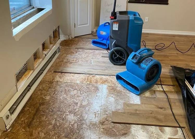 Gallery image 2 — 24/7 water damage repair near me
