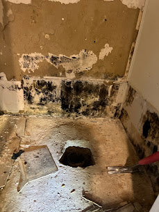Gallery image 8 — 24/7 water damage repair near me