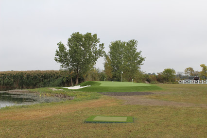 Gallery image 5 — custom golf mat installation near me