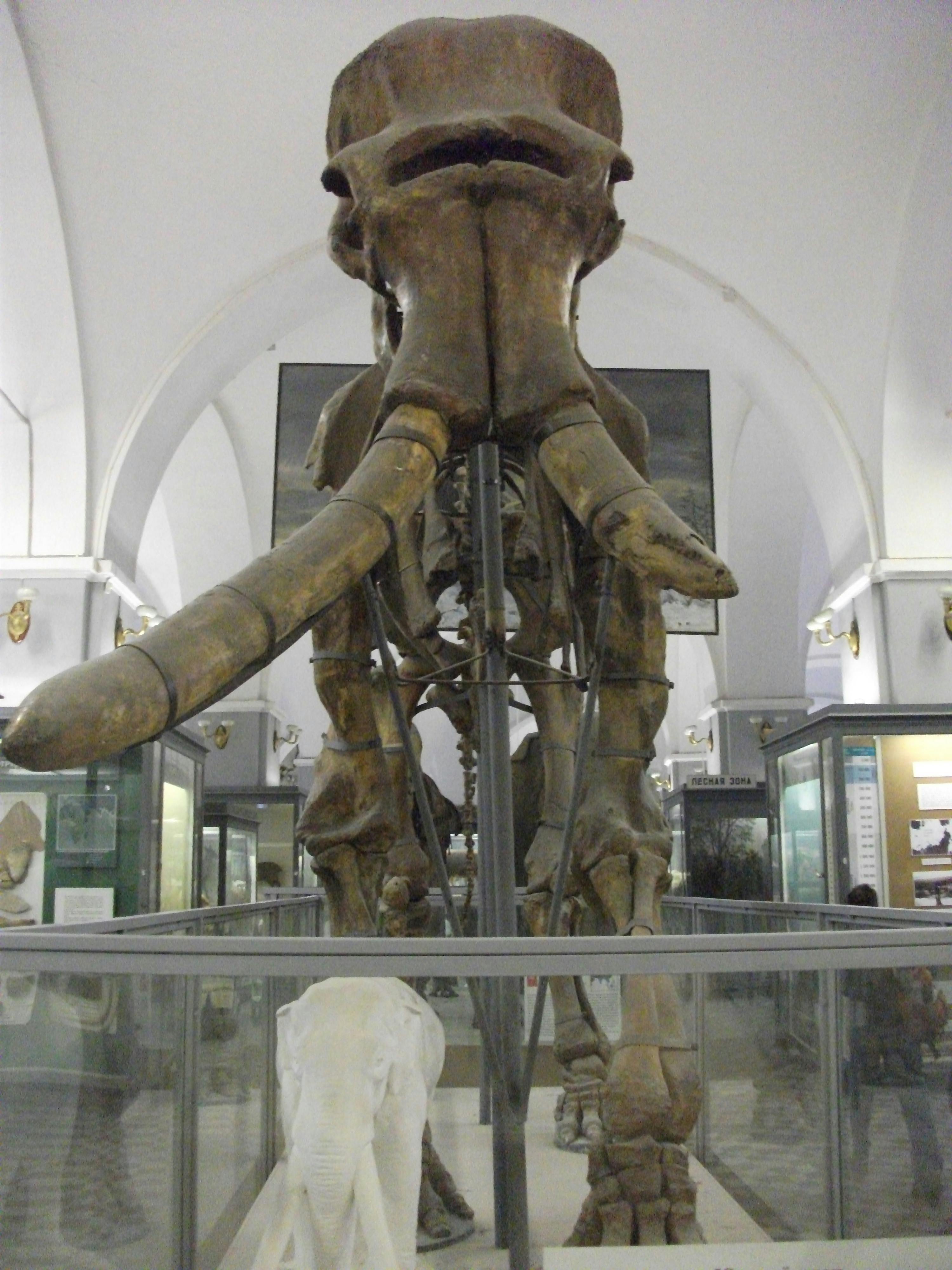 Gallery image 1 — professional grade mulch in Austin