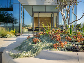 detail-oriented landscaper near me