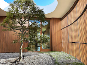 Gallery image 2 — landscape project management Austin