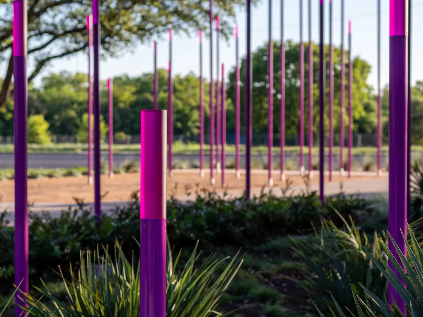 Gallery image 3 — landscape project management Austin