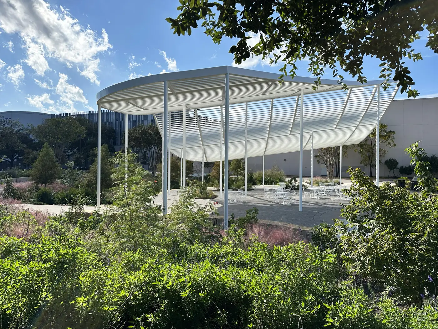 Gallery image 4 — landscape project management Austin