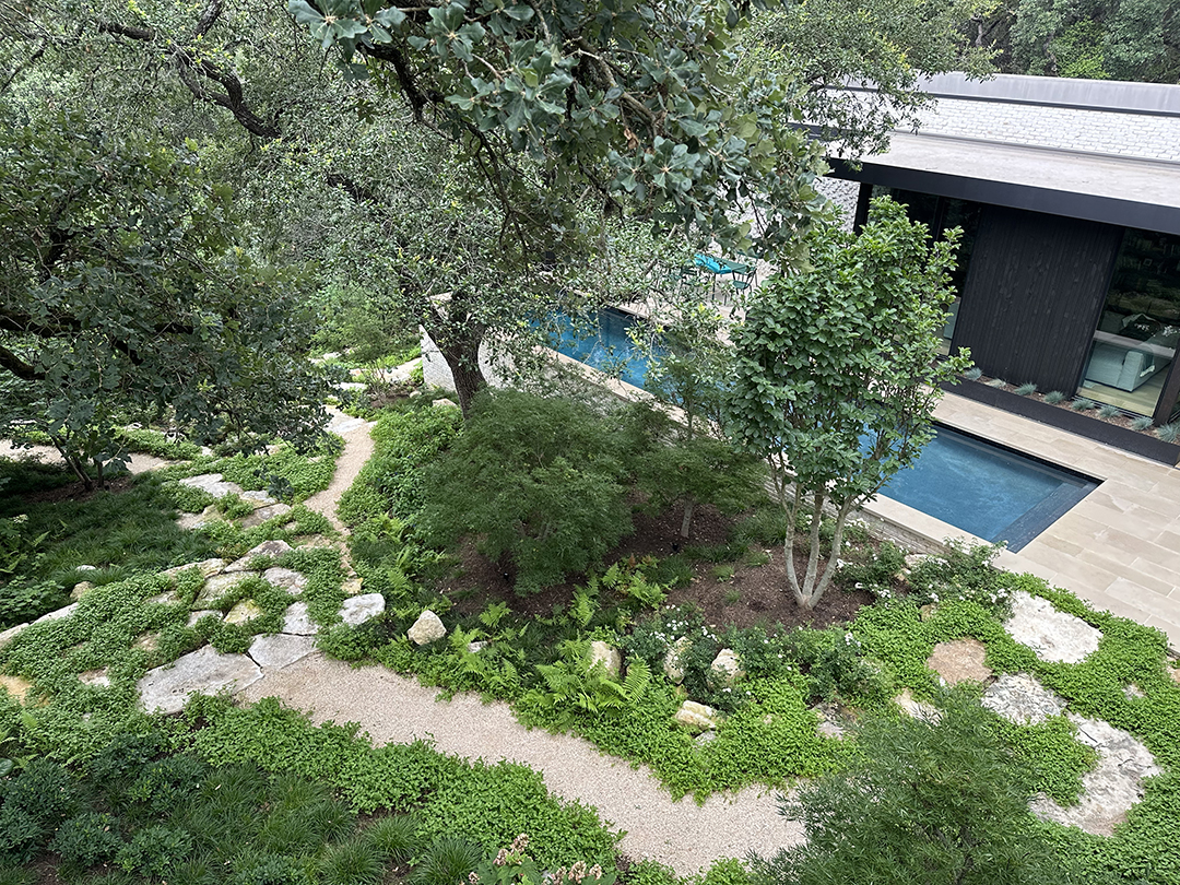 Gallery image 9 — landscape project management Austin